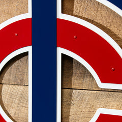 Minnesota Twins Premier Metal Wall Art