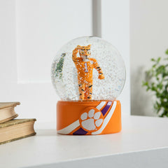 Water Globe, Clemson University