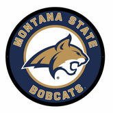 LED Wall Decor, Round, Montana State University