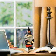 Garden Gnome, Syracuse University
