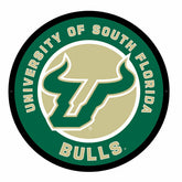 LED Wall Decor, Round, University of South Florida