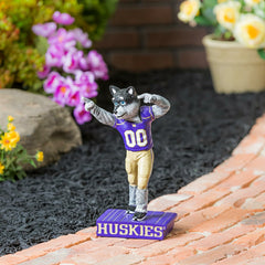 University of Washington Huskies, Mascot Statue