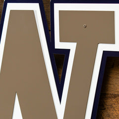 University of Washington Premier Metal Wall Art