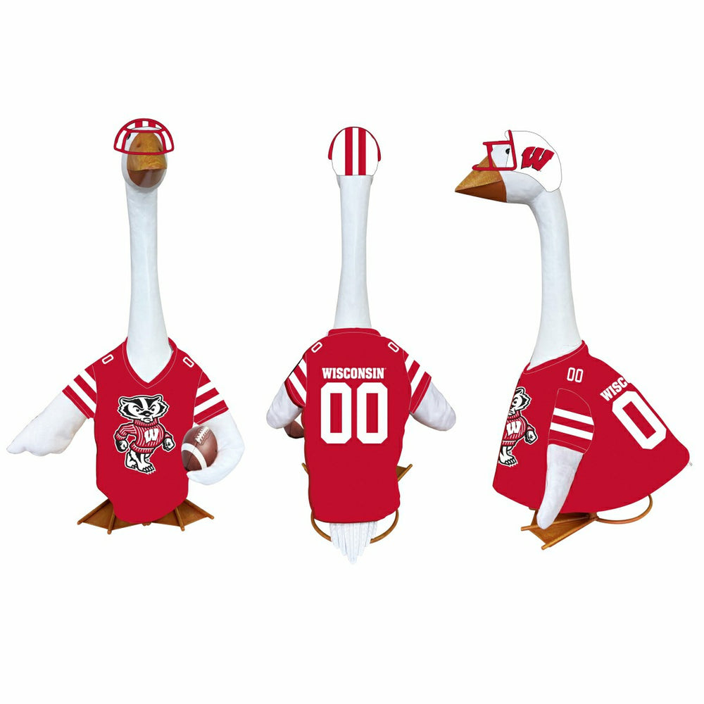University of Wisconsin-Madison Sports Porch Goose Uniform