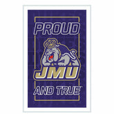 James Madison University College Rectangle Neolite LED Decor