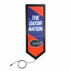 LED Wall Decor, Pennant, University of Florida