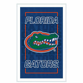 University of Florida College Rectangle Neolite LED Decor