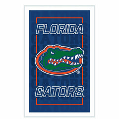 University of Florida College Rectangle Neolite LED Decor