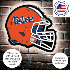 LED Wall Decor, Helmet, University of Florida