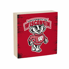 University of Wisconsin-Madison Plock, Down Home Fans, 6x6
