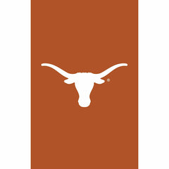 University of Texas Applique House Flag