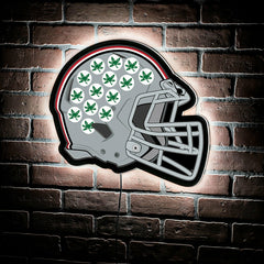LED Wall Decor, Helmet, Ohio State University