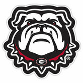 LED Wall Decor, Glazelite, College Mascot, University of Georgia