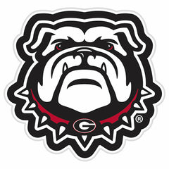 LED Wall Decor, Glazelite, College Mascot, University of Georgia