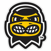 LED Wall Decor, Glazelite, College Mascot, University of Iowa