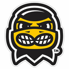 LED Wall Decor, Glazelite, College Mascot, University of Iowa