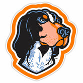 LED Wall Decor, Glazelite, College Mascot, University of Tennessee