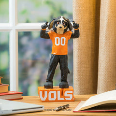 University of Tennessee, Mascot Statue