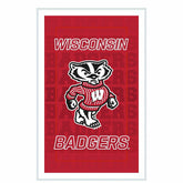 University of Wisconsin-Madison College Rectangle Neolite LED Decor