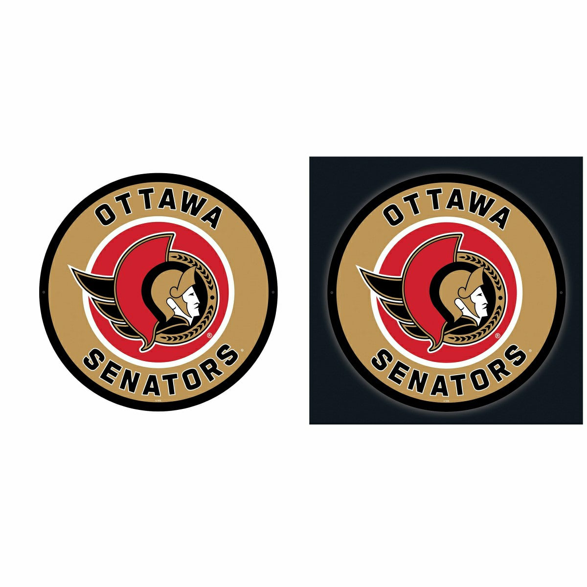 LED Wall Decor, Round, Ottawa Senators