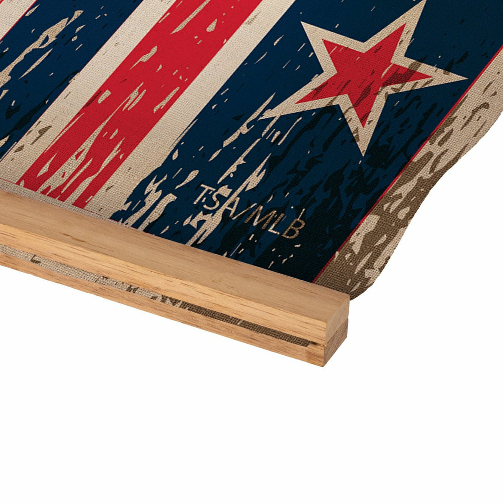 Boston Red Sox, Canvas Wall Tapestry, Medium, 36x24