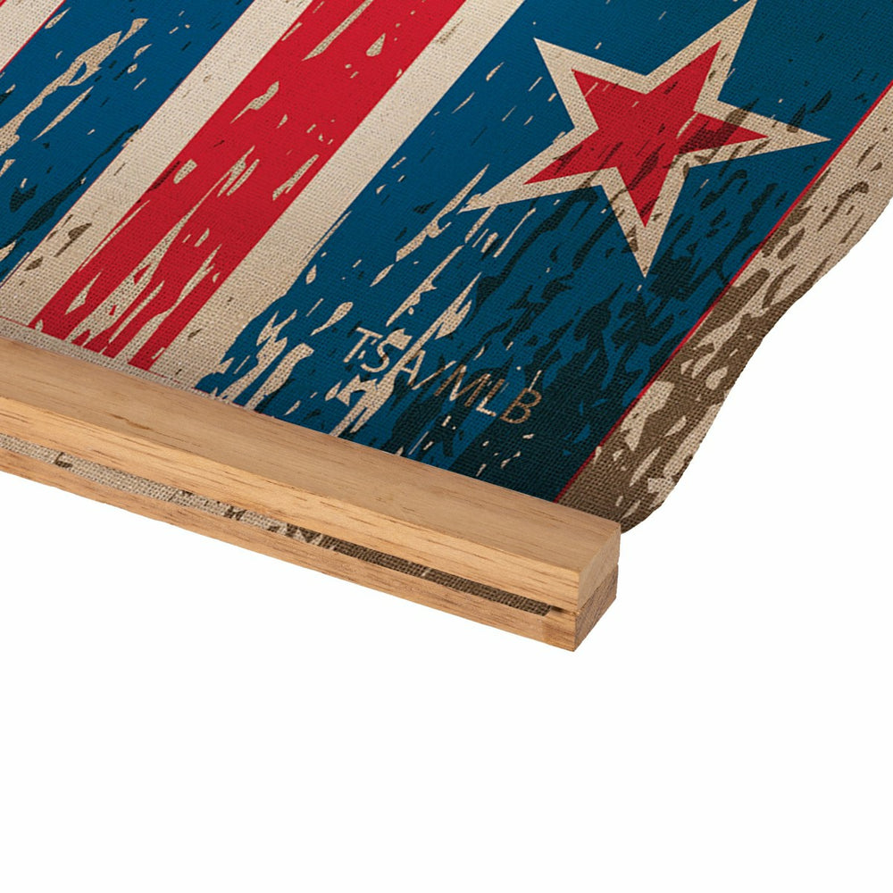 Chicago Cubs, Canvas Wall Tapestry, Medium, 36x24