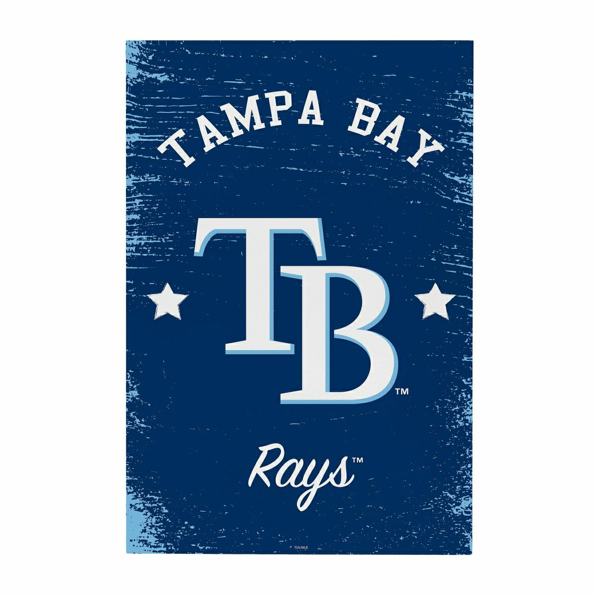 Tampa Bay Rays Wood Wall Sign, 16x24