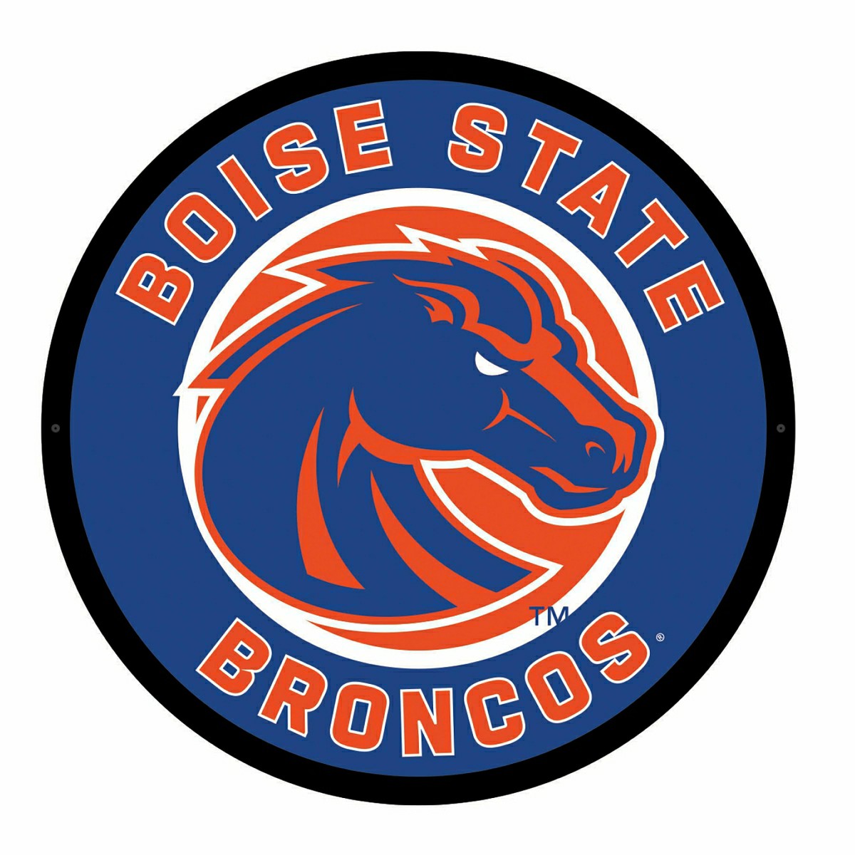 LED Wall Decor, Round, Boise State University