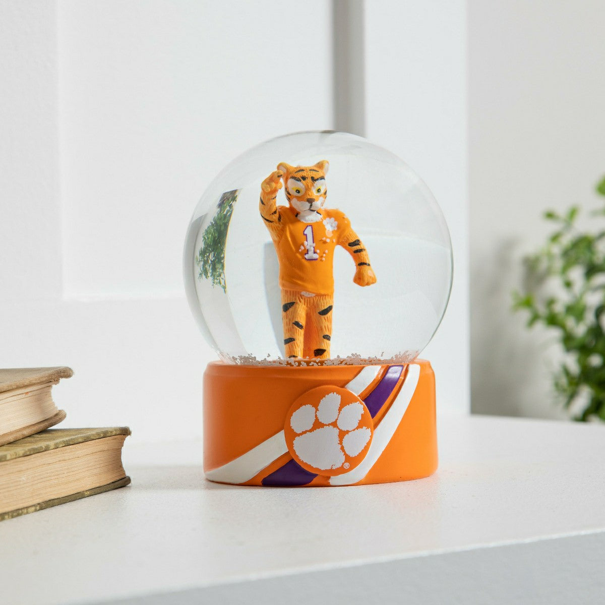 Water Globe, Clemson University