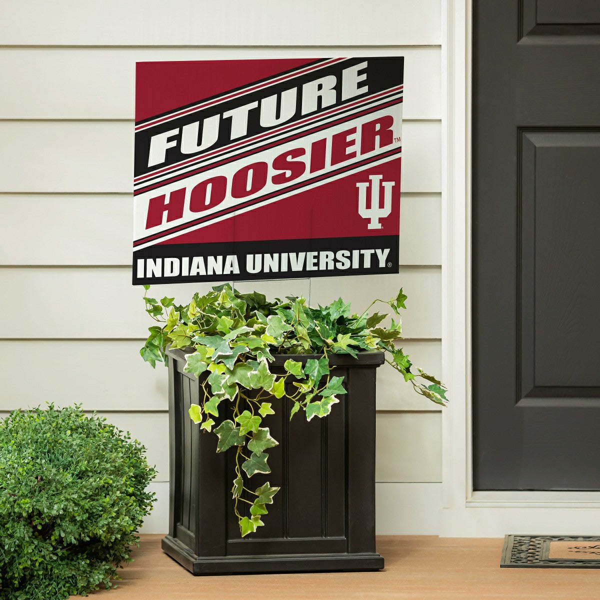 Indiana University Coroplast Yard Sign, Future Student