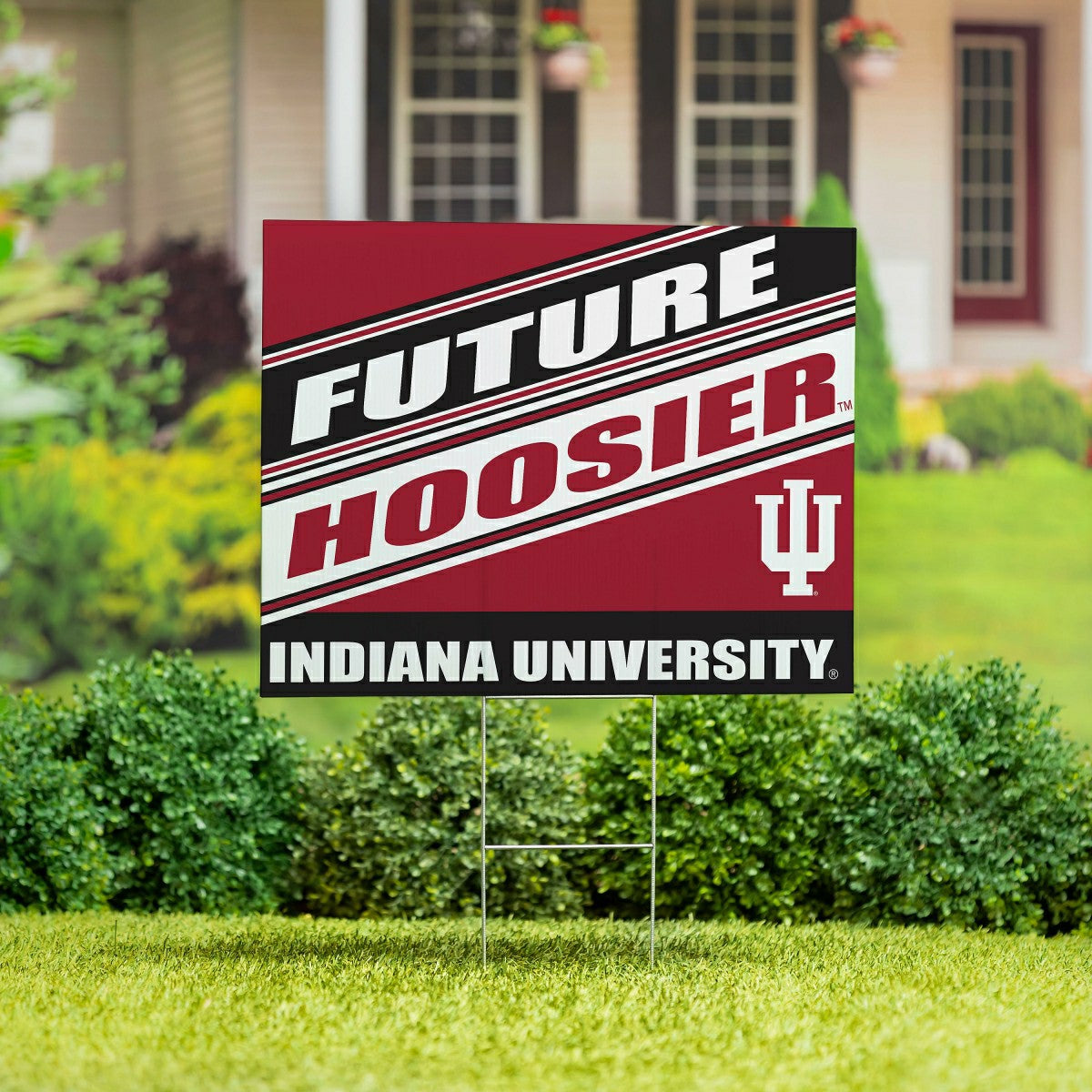 Indiana University Coroplast Yard Sign, Future Student