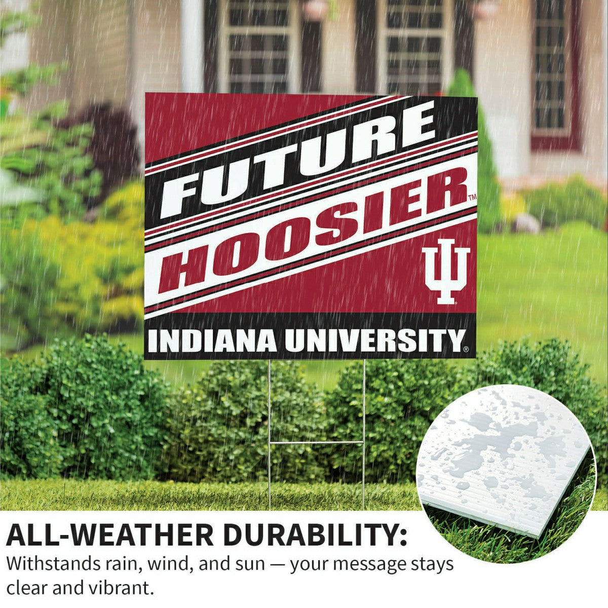Indiana University Coroplast Yard Sign, Future Student
