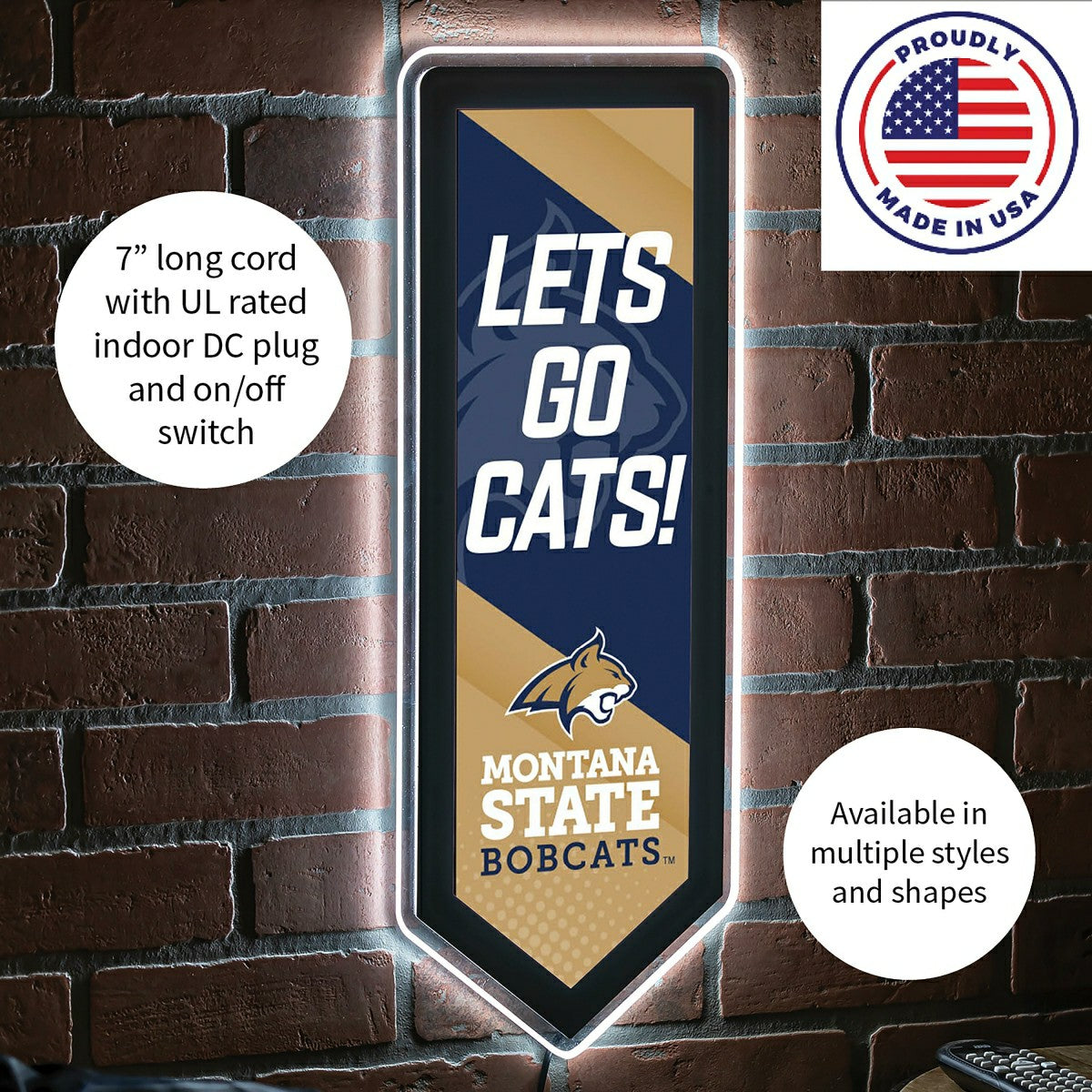 LED Wall Decor, Pennant, Montana State University