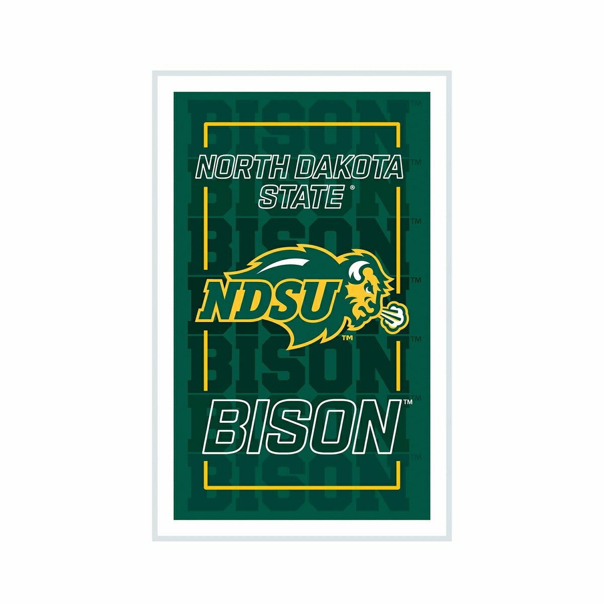 North Dakota State University College Rectangle Neolite LED Decor