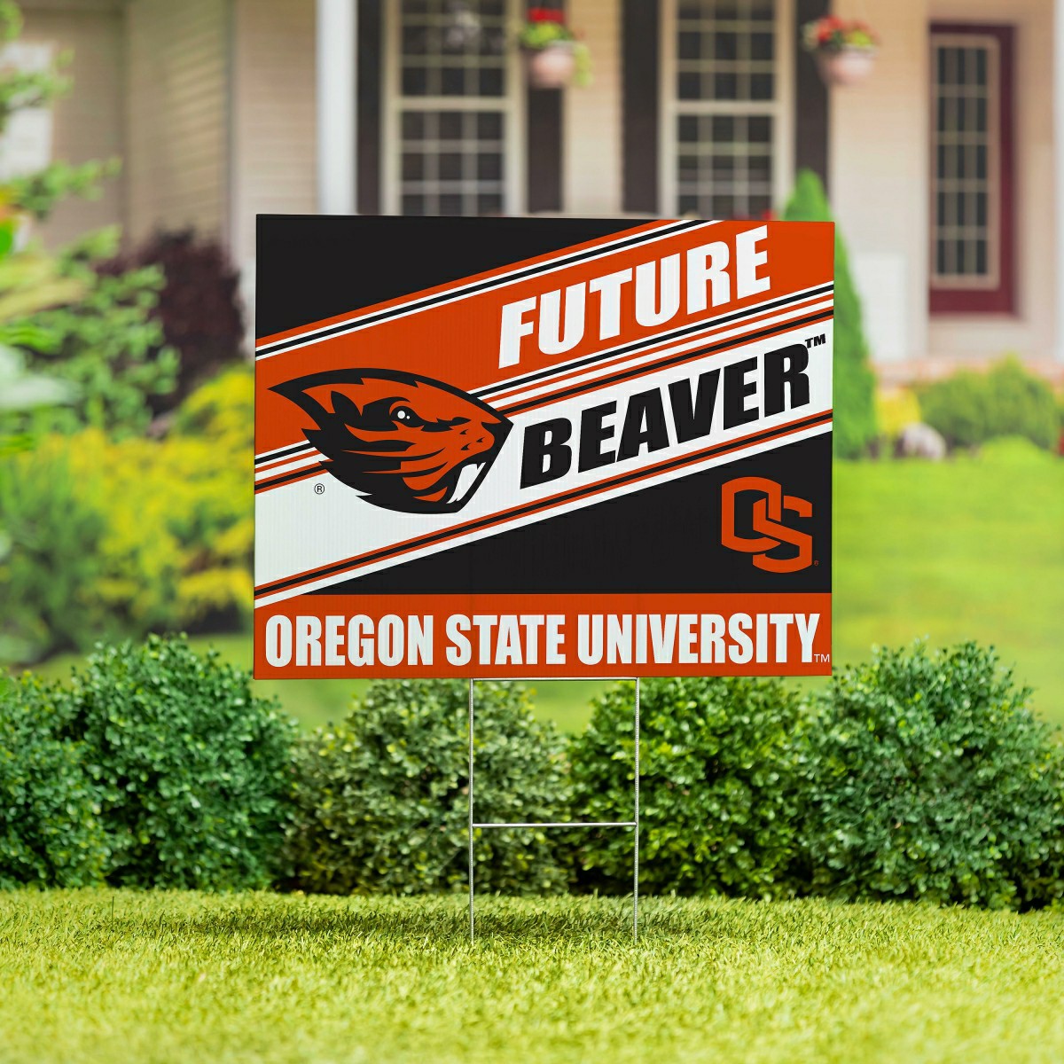 Oregon State University Coroplast Yard Sign, Future Student