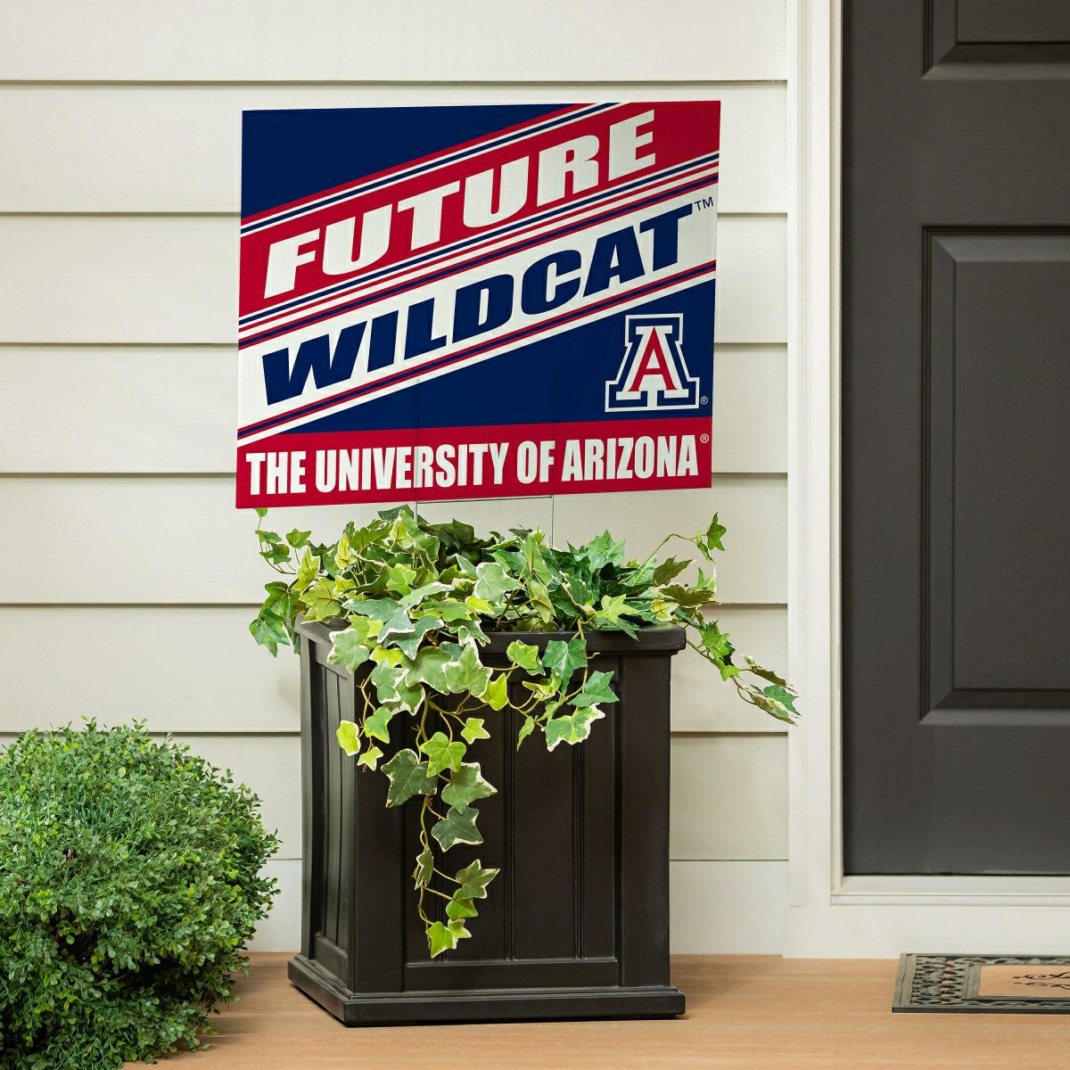 University of Arizona Coroplast Yard Sign, Future Student