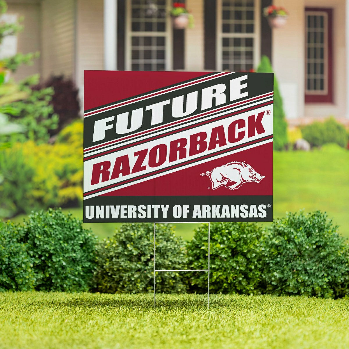 University of Arkansas Coroplast Yard Sign, Future Student