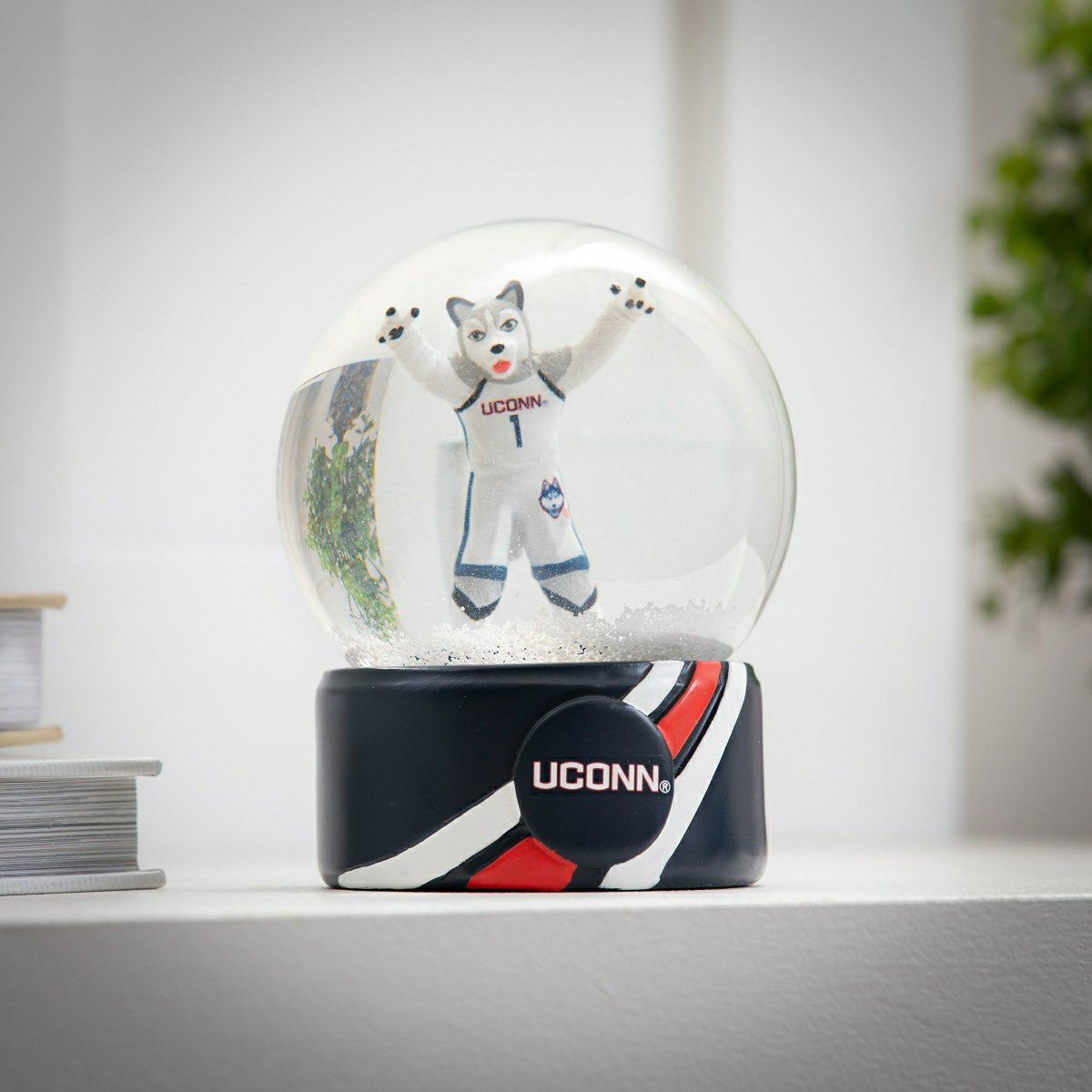 Water Globe, University of Connecticut