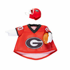 University of Georgia Sports Porch Goose Uniform