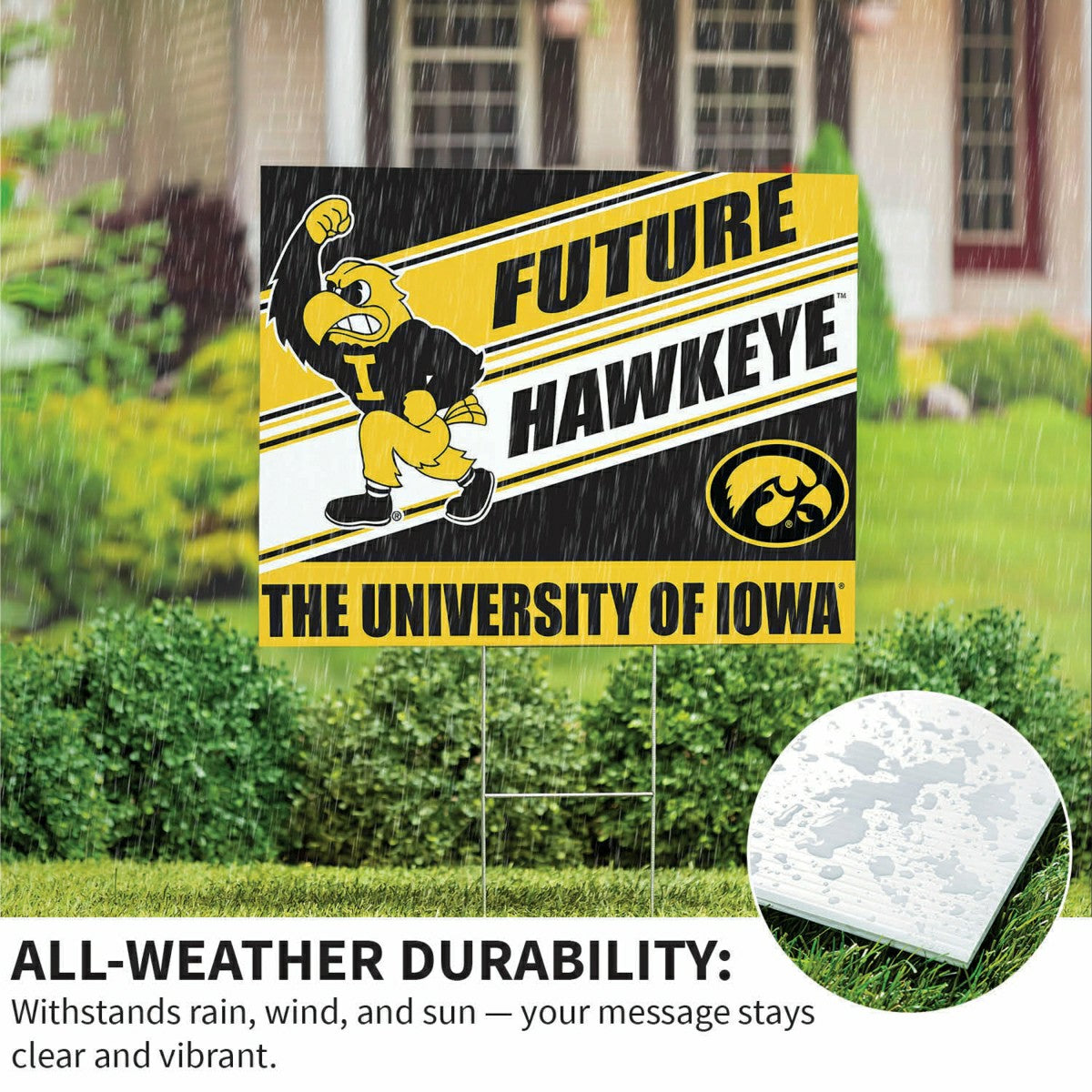 University of Iowa Coroplast Yard Sign, Future Student