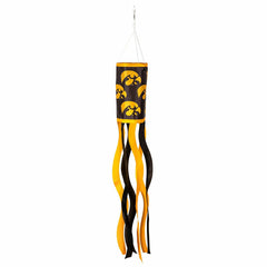 University of Iowa Windsock