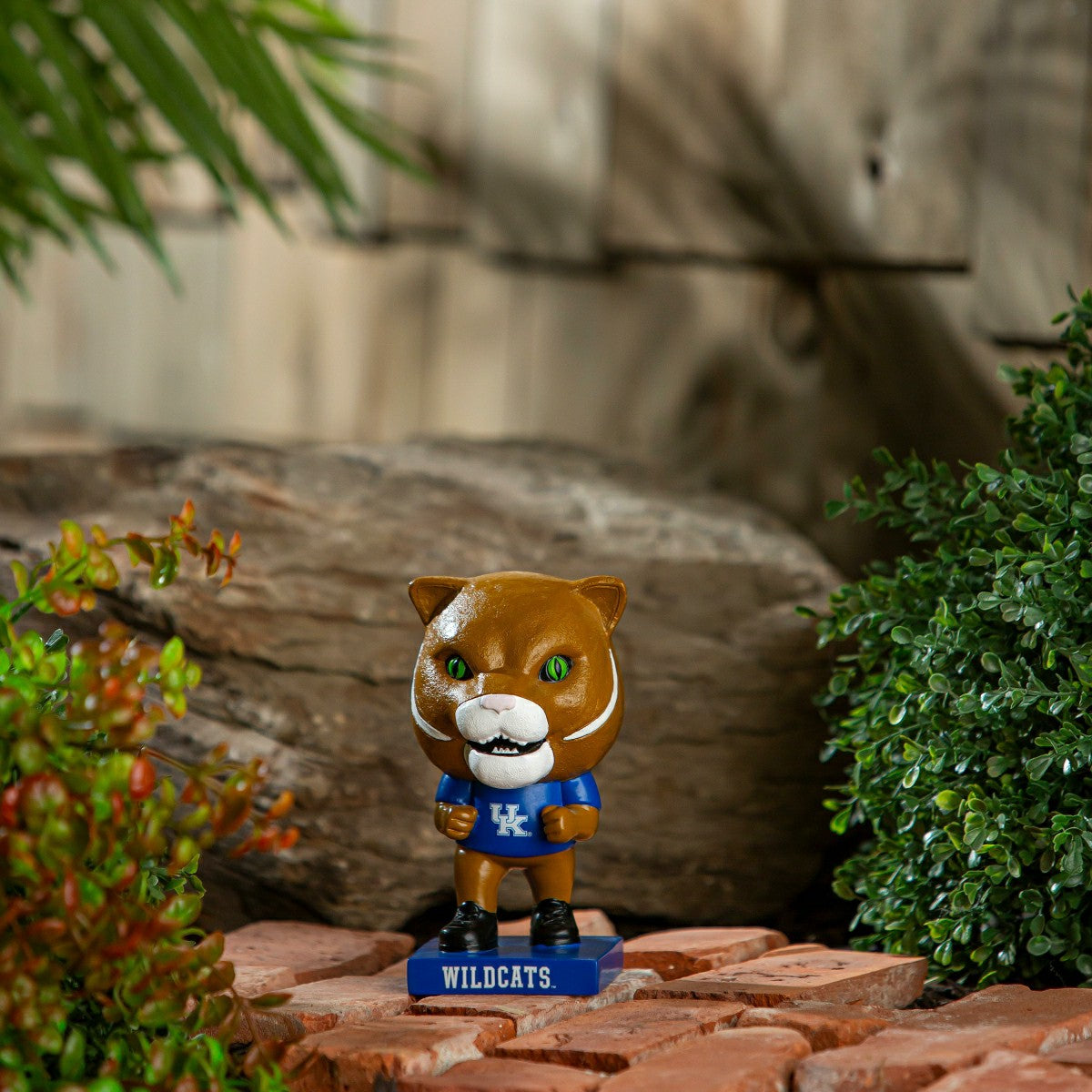 Lil Big Head Statue, Mascot, University of Kentucky