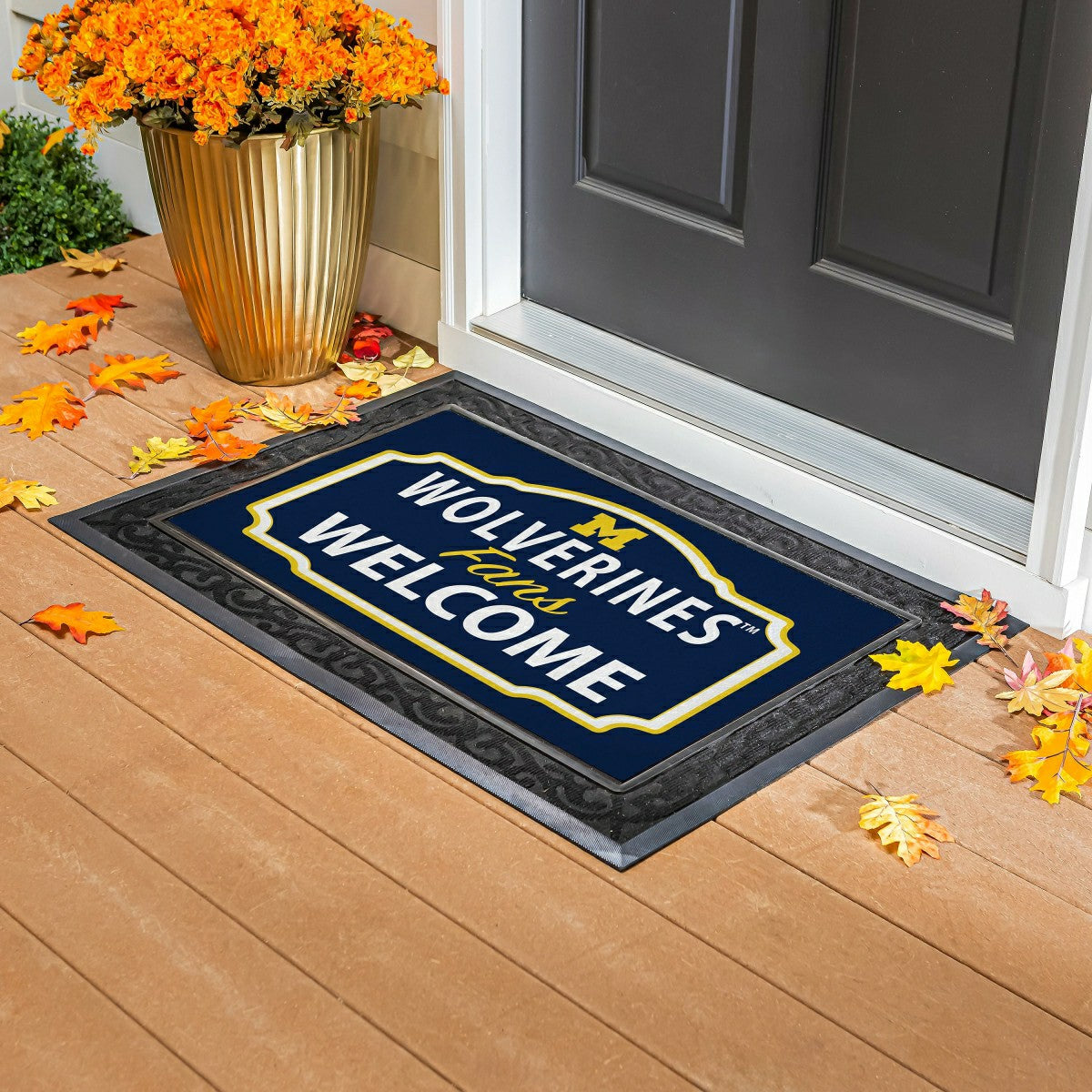 University Of Michigan Sassafras Estate Switch Mat