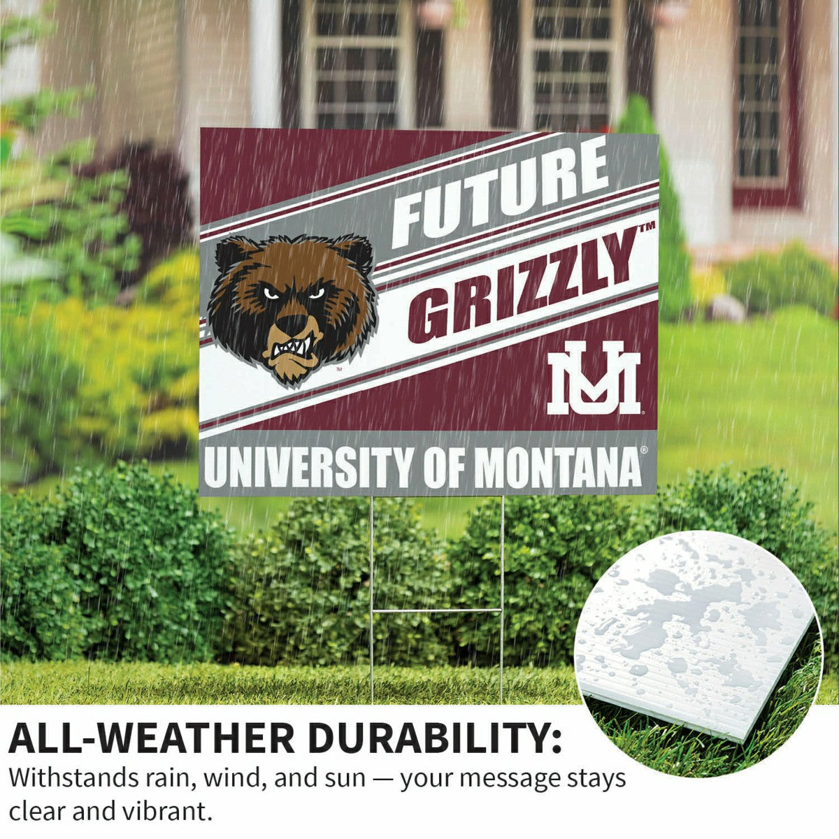 University of Montana Coroplast Yard Sign, Future Student
