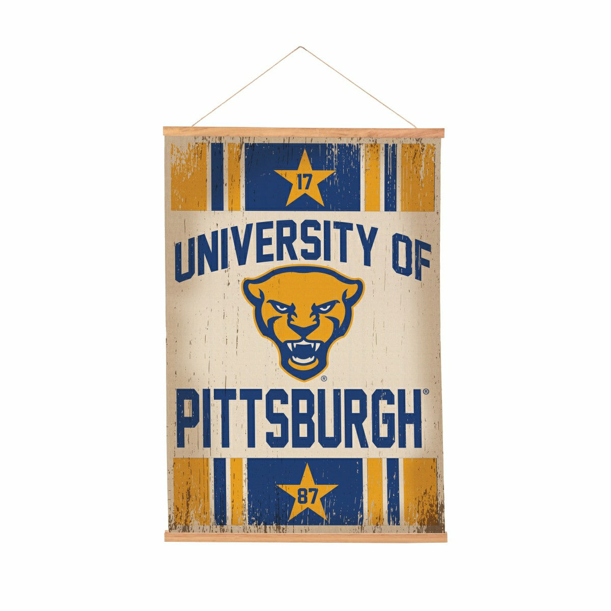 University of Pittsburgh, Canvas Wall Tapestry, Medium, 36x24