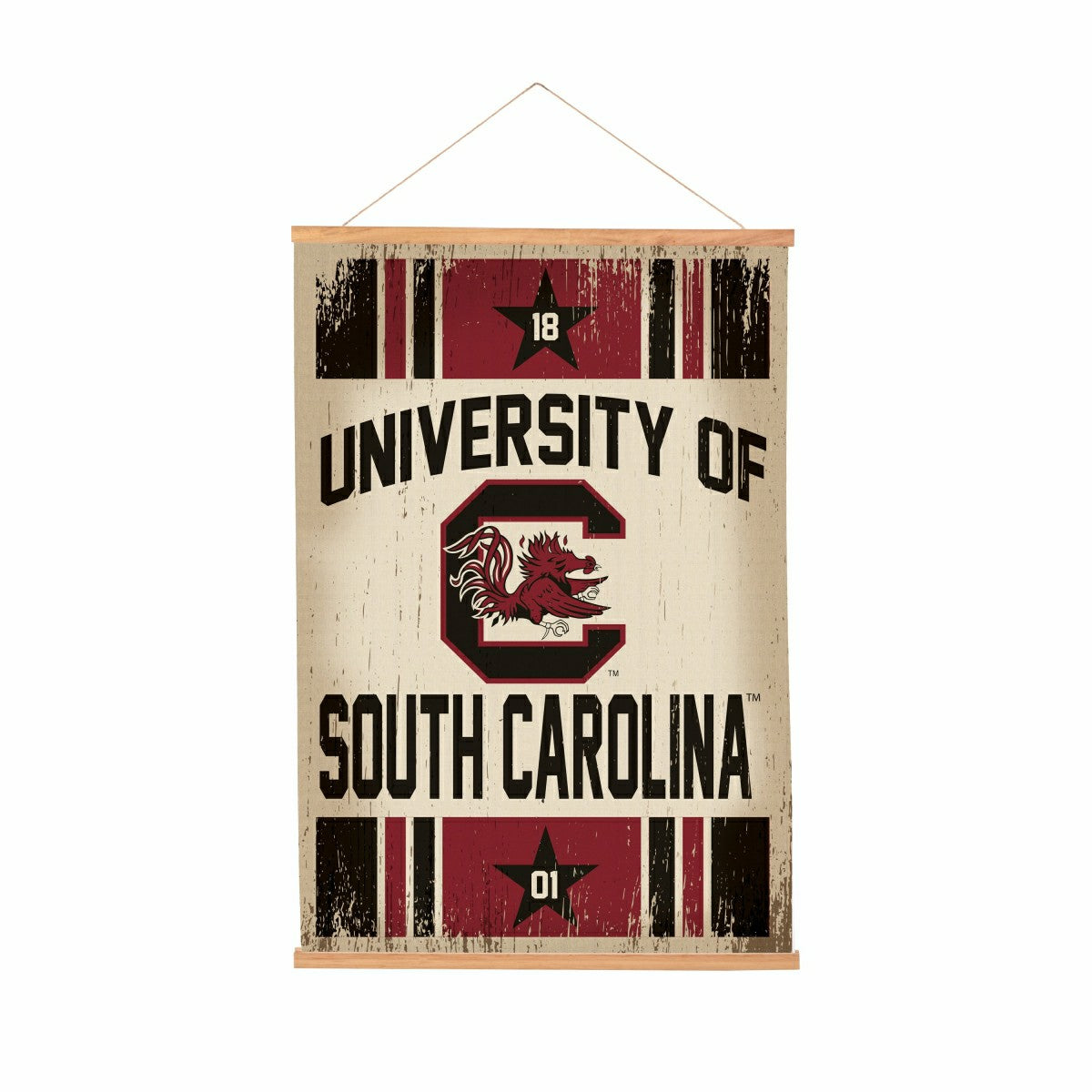University of South Carolina, Canvas Wall Tapestry, Medium, 36x24