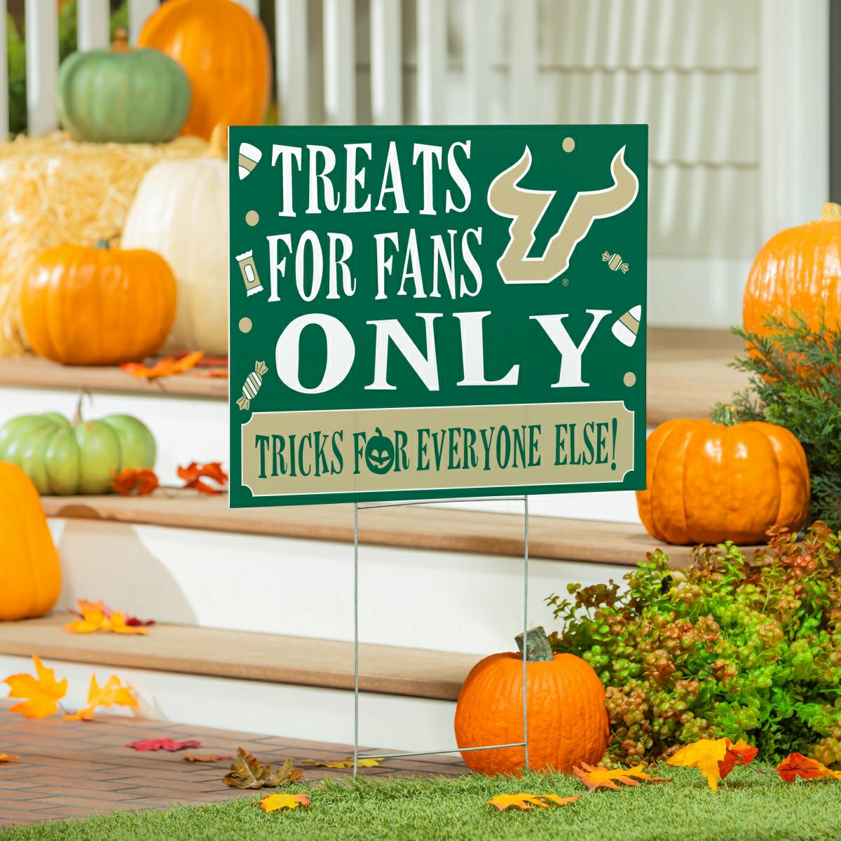 University of South Florida Yard Sign, Halloween Treats for Fans