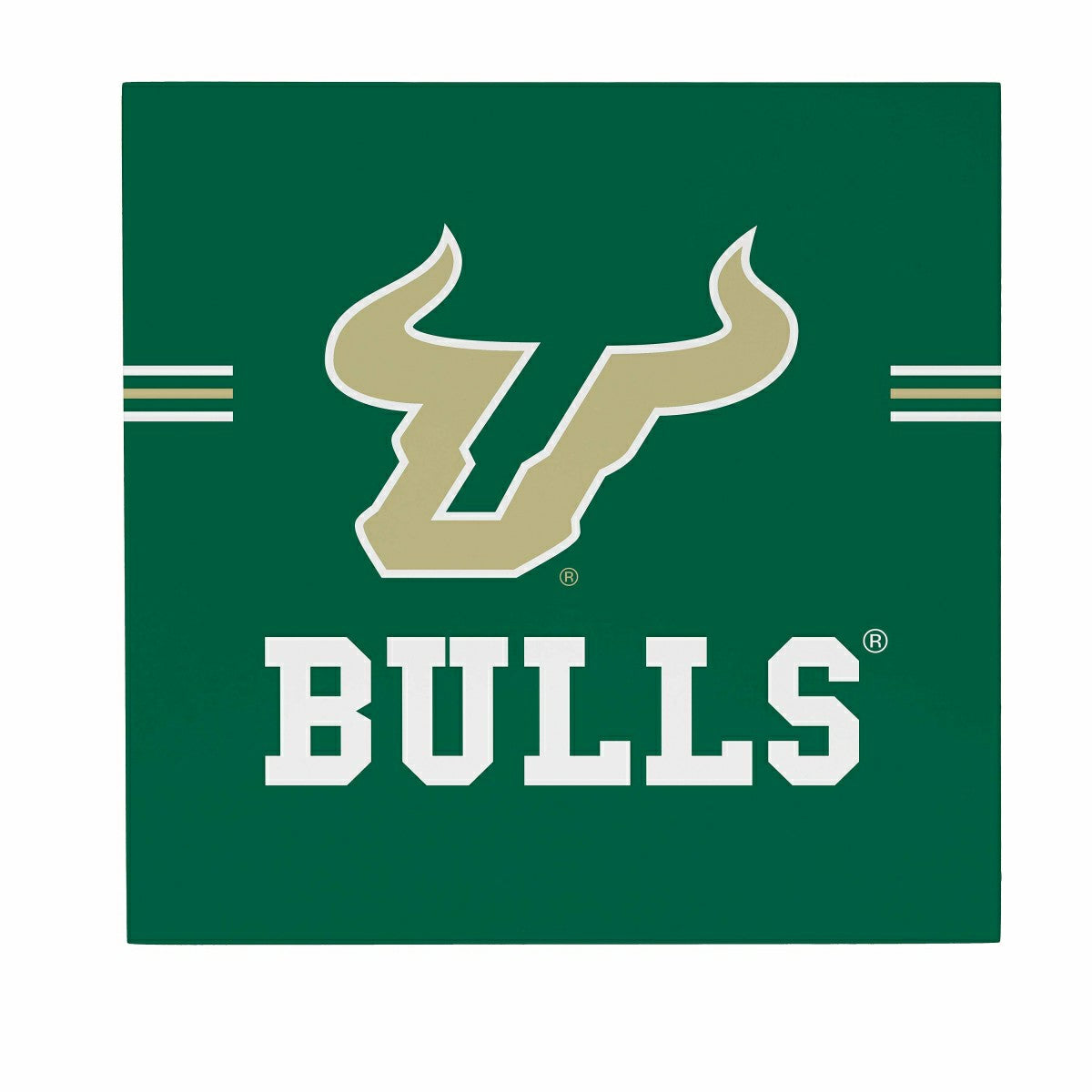 University of South Florida Wood Wall Sign, 12x12