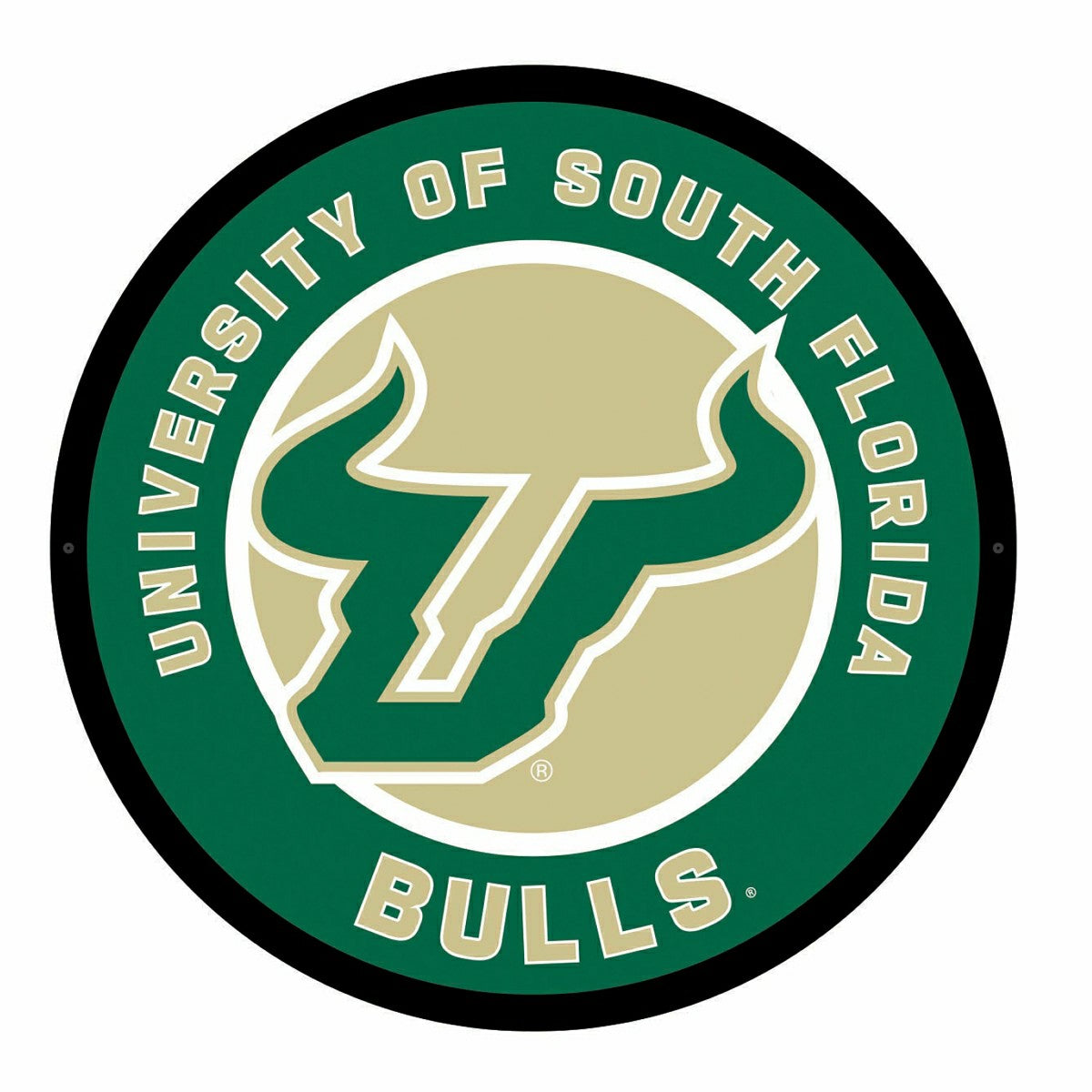 LED Wall Decor, Round, University of South Florida