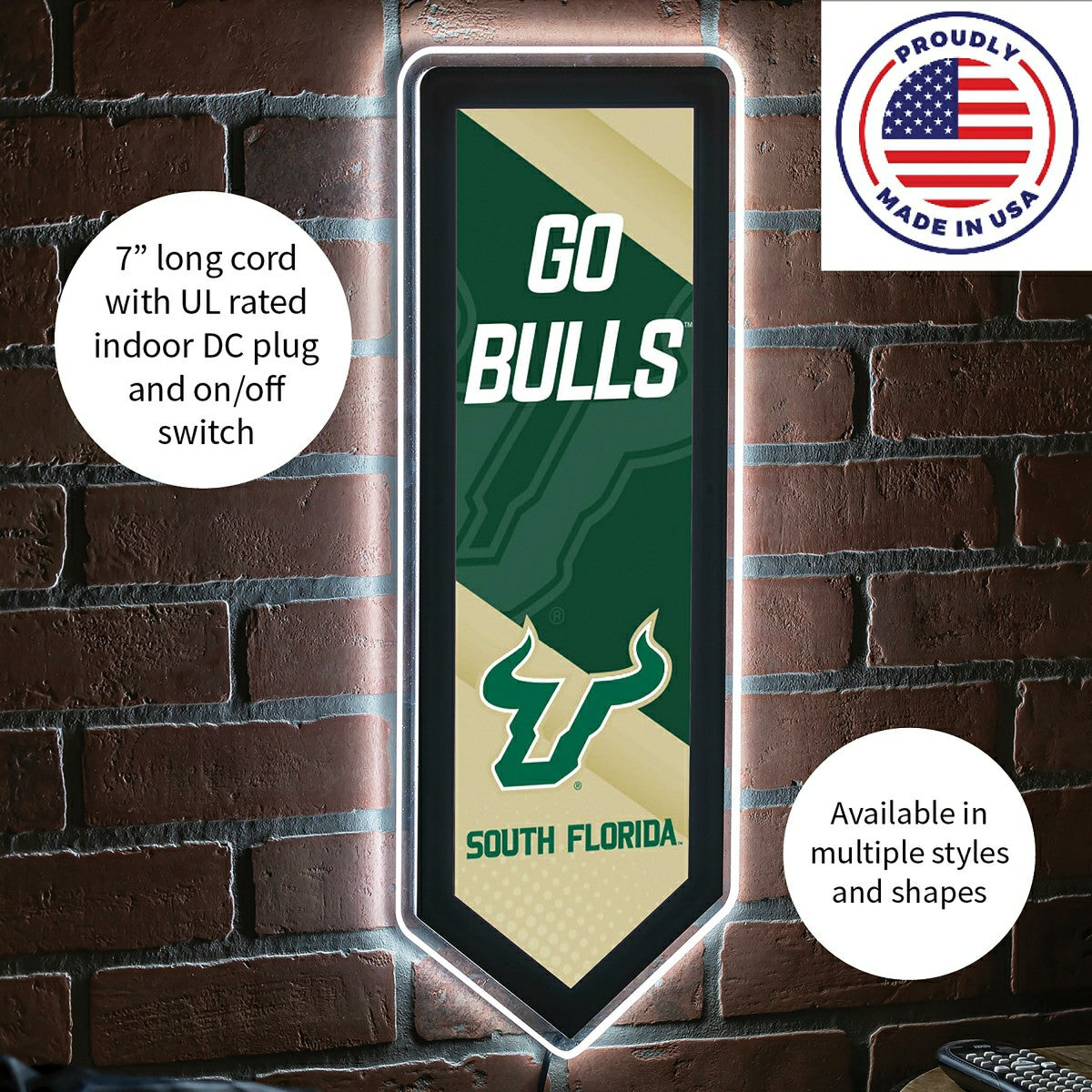 LED Wall Decor, Pennant, University of South Florida